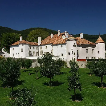 Гостевой дом Chateau Le Rosey Ньон