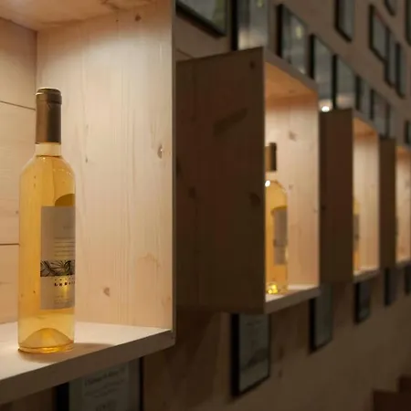 Гостевой дом Chateau Le Rosey