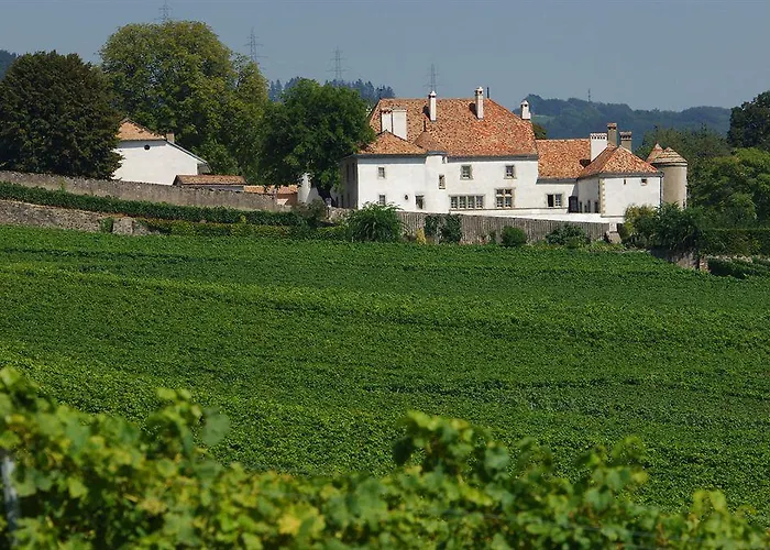 Chateau Le Rosey Pensjonat