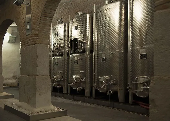 Chateau Le Rosey Affittacamere