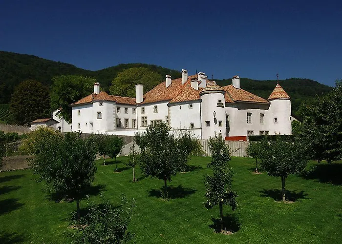 Pensjonat Chateau Le Rosey Nyon