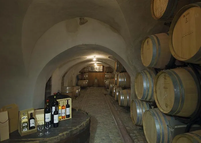 Chateau Le Rosey Pensjonat Nyon