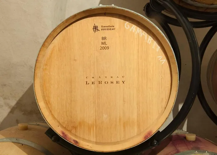 Pensjonat Chateau Le Rosey Nyon