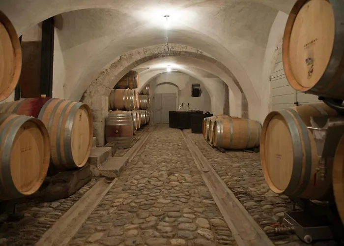 Chateau Le Rosey Pensjonat 4*