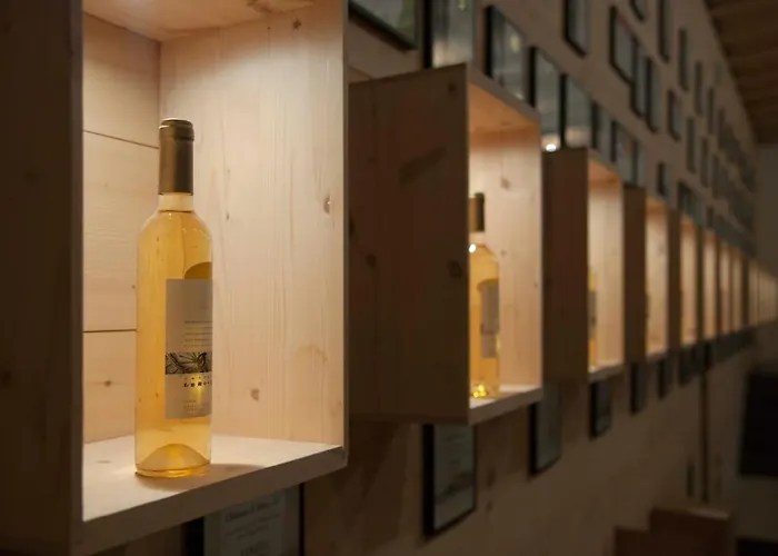 Pensjonat Chateau Le Rosey